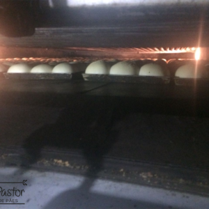 Fábrica de pão Curitiba | Bom Pastor Fábrica de pão Curitiba | Bom Pastor